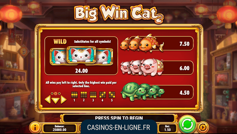big win cat screenshot 2