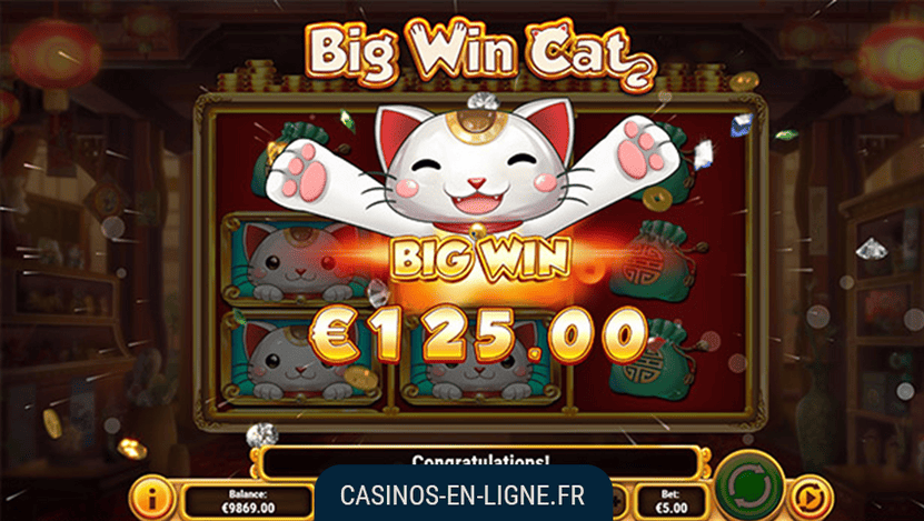 big win cat screenshot 2