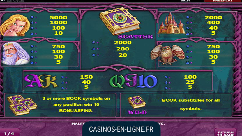 jeu book of fortune screenshot 2