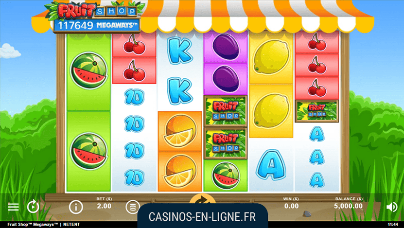 jeu fruit shop screenshot