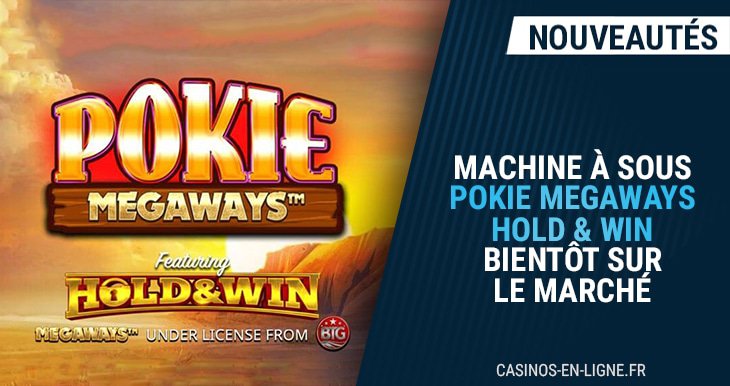 pokie megaways hold and win