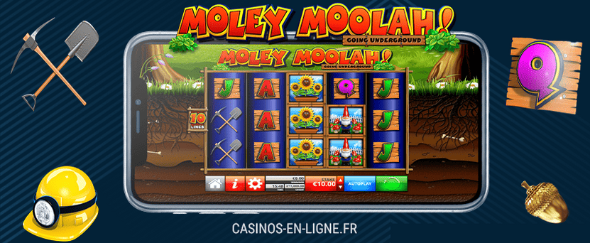 moley moolah